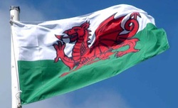 What are the physical characteristics of Welsh people?